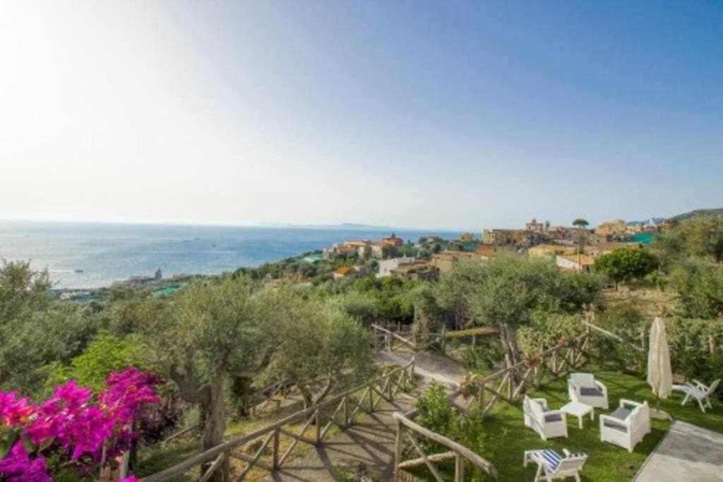 Villa Il Sogno Di Zia Ada Massa Lubrense Luaran gambar